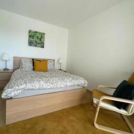 Apparte - Appartement Proche Geneve Et Palexpo 페르네이 볼테르 외부 사진